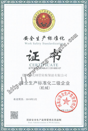 安全生产标准化二级证书